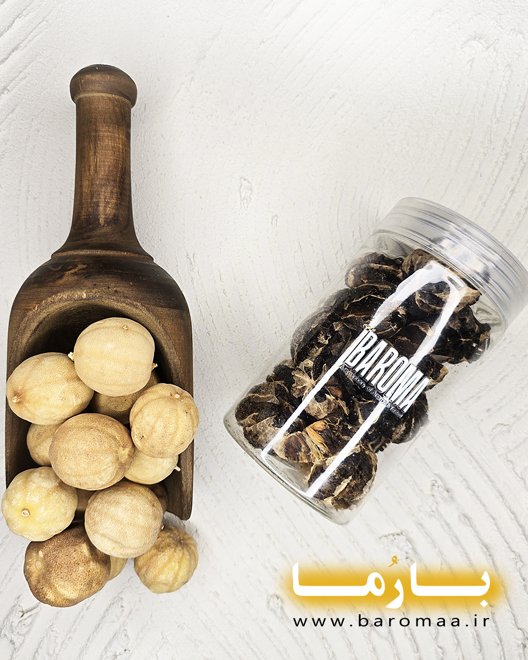 لیمو عمانی / ببری